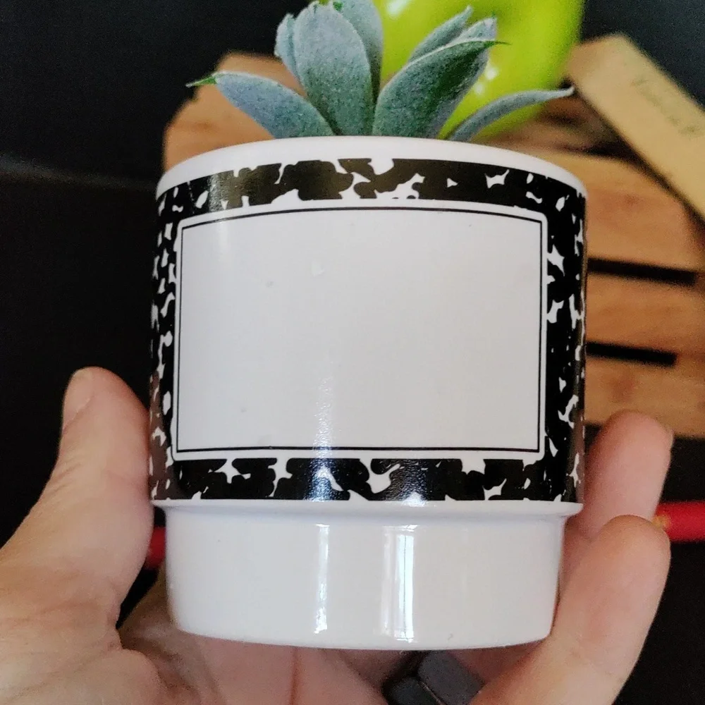 Planter for teacher with faux succulent - Picture 2 of 10